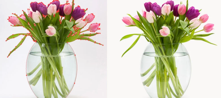 differences between background removal and clipping path