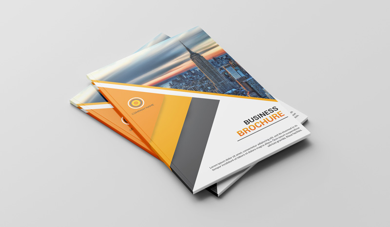 bi fold brochure design