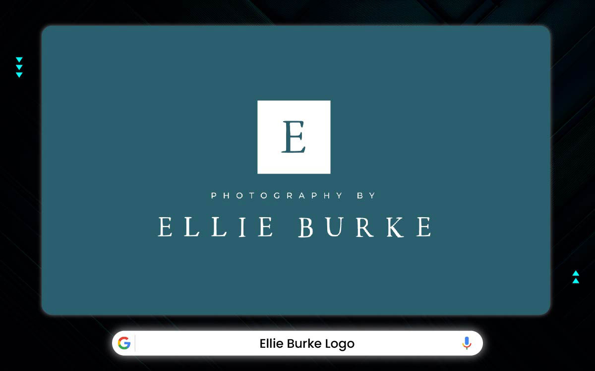 luxury photography logo concept for your inspiration