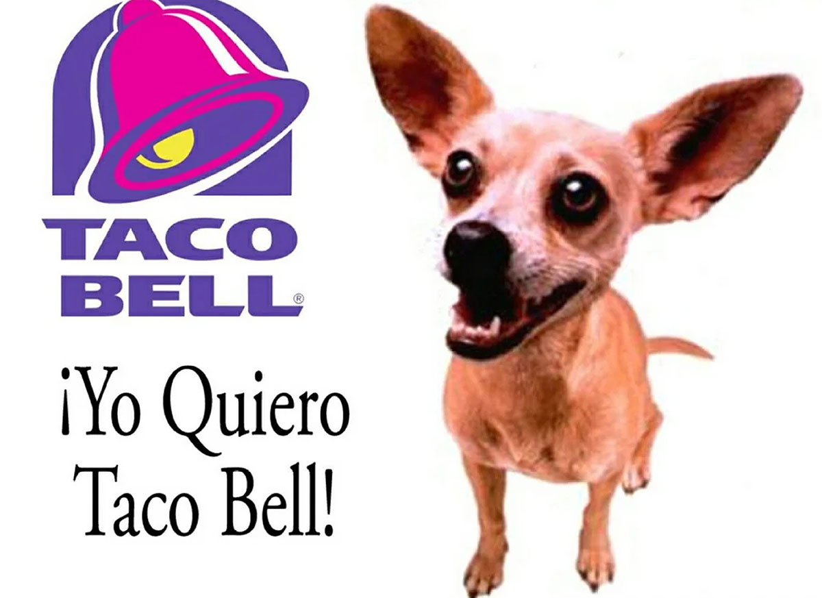 Taco Bell chihuahua looking up beside the purple and pink Taco Bell logo and the text Yo Quiero Taco Bell
