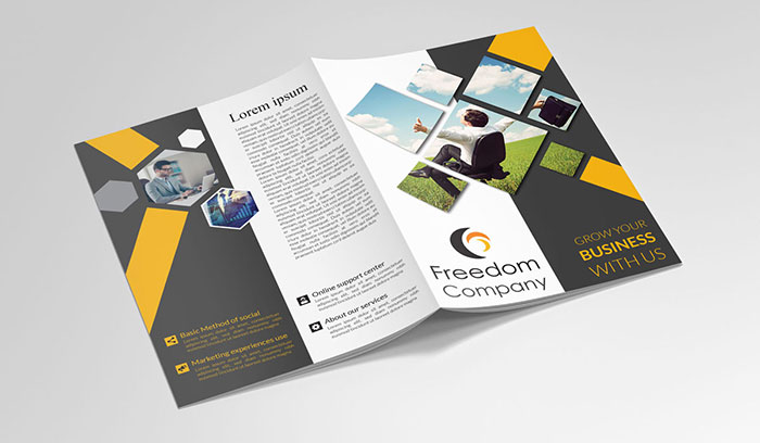 personal finance brochure design service