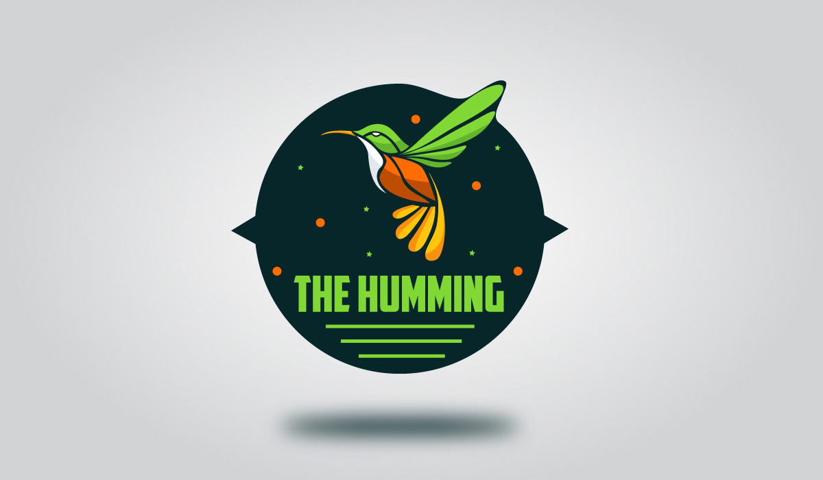 bird logo design