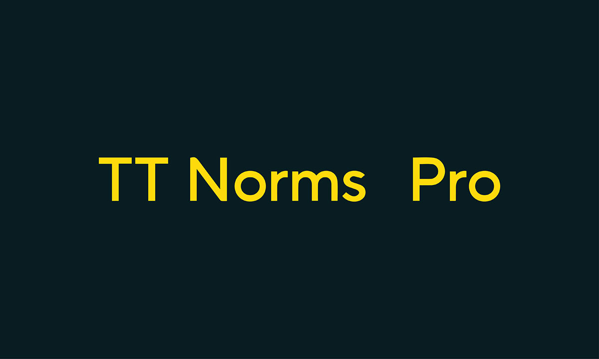 TT Norms Pro font for logo design