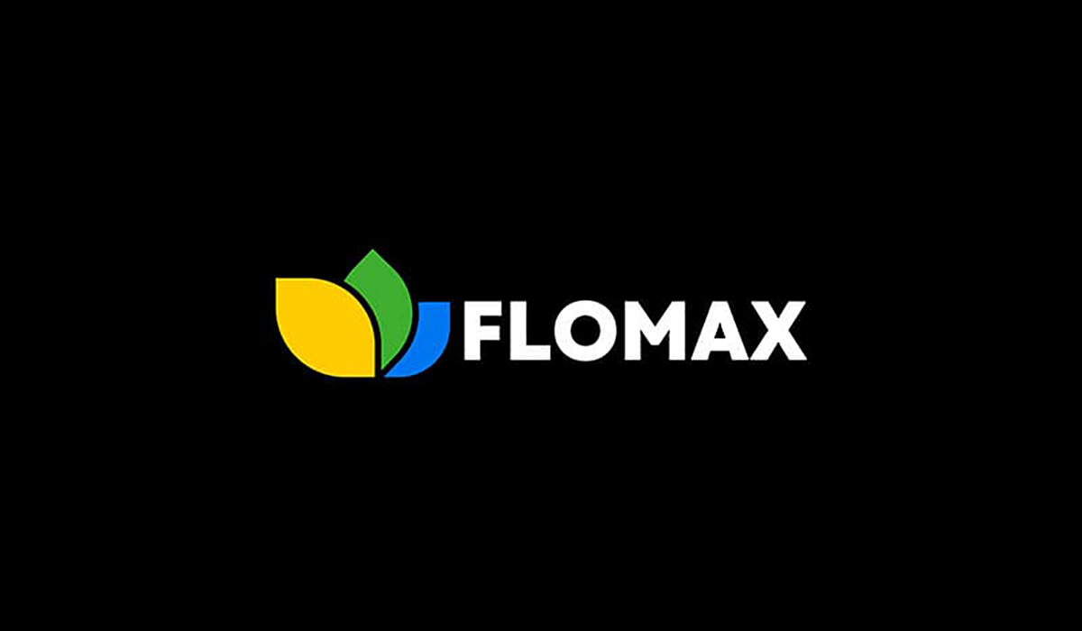 flat logo design