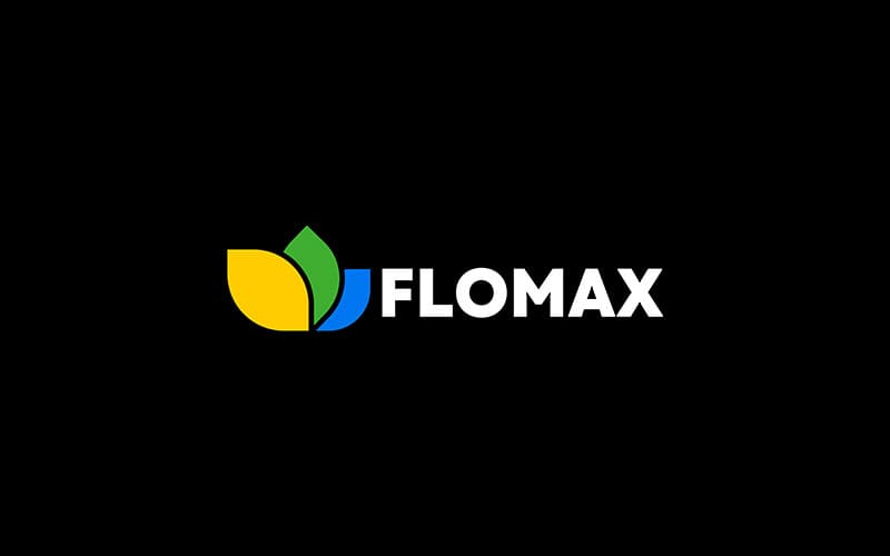 flat logo design service