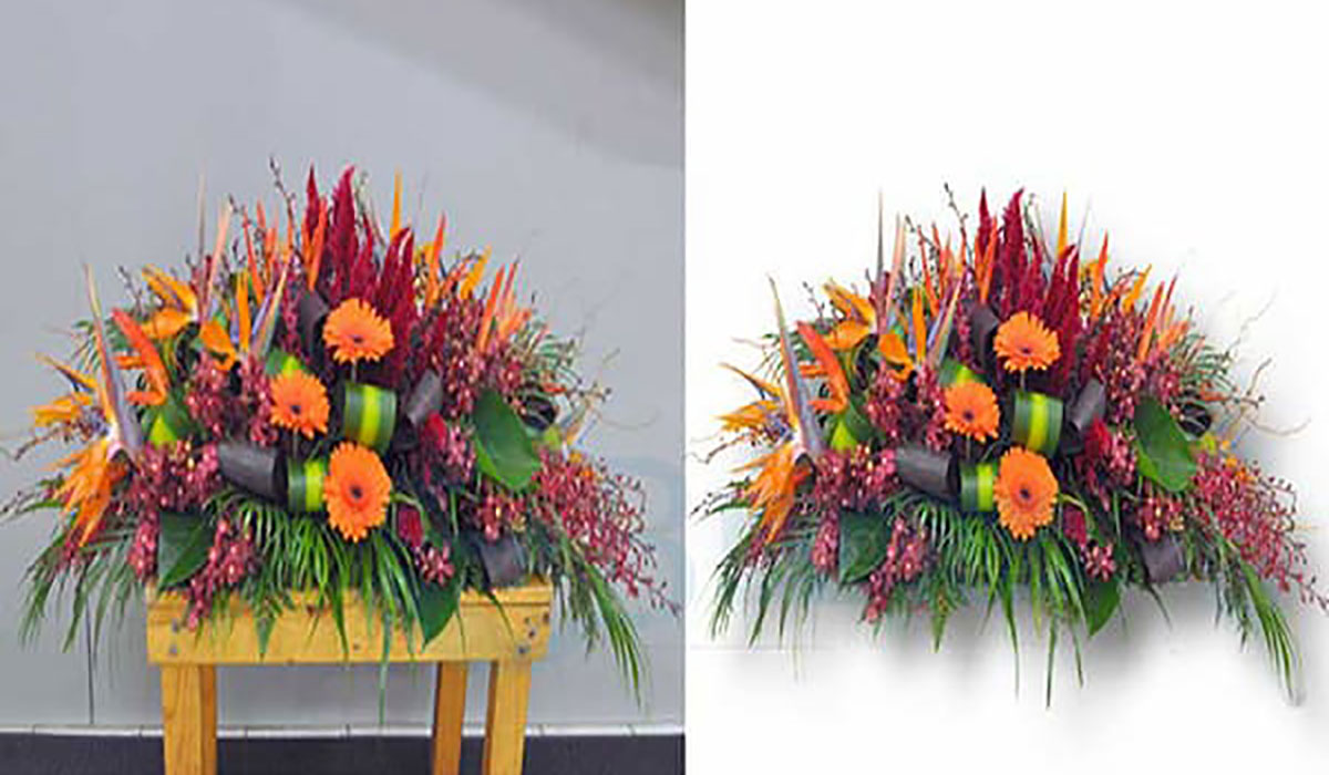 flower photo background removal