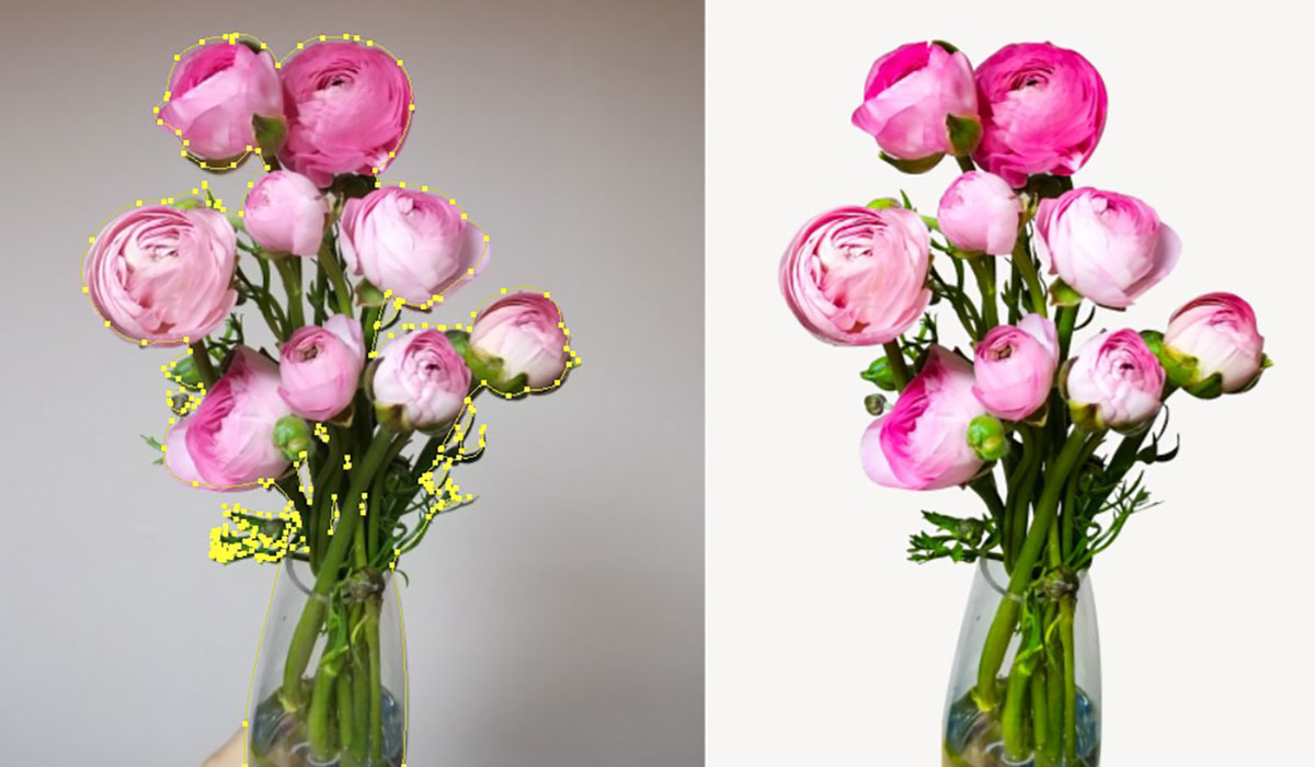 flower photo clipping path