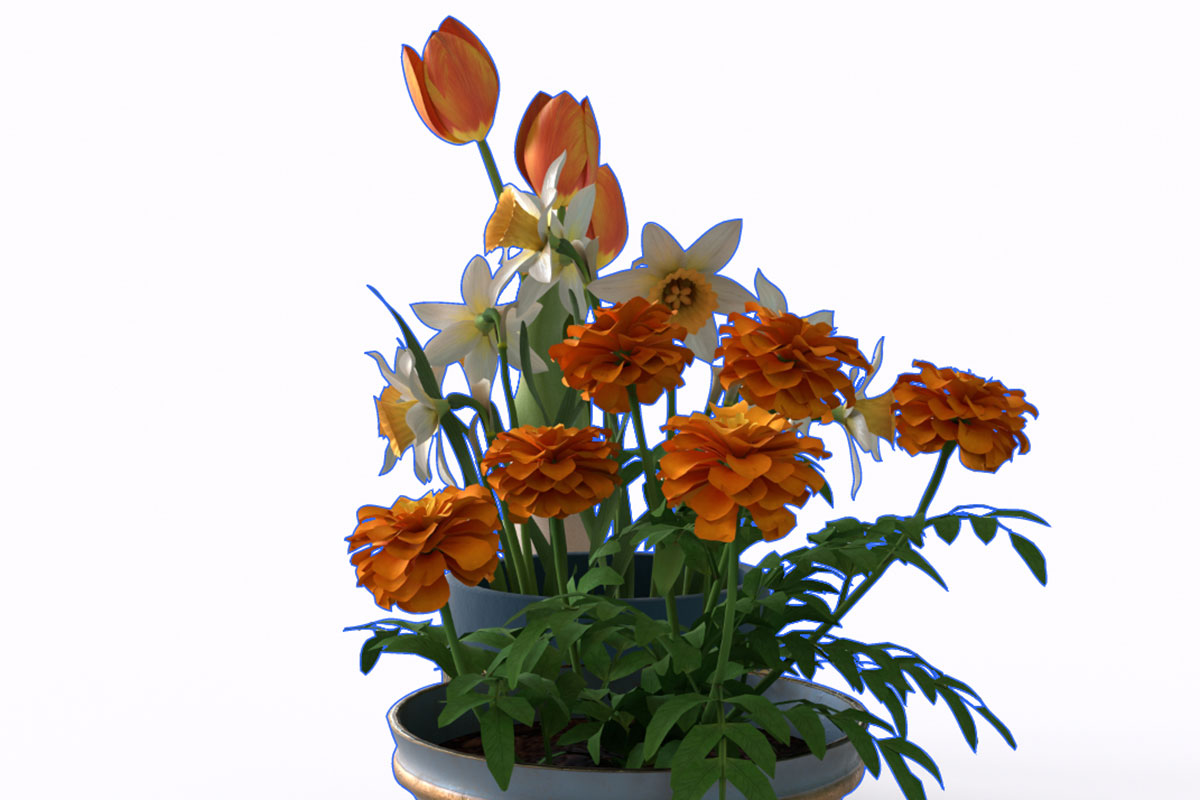 super complex clipping path service