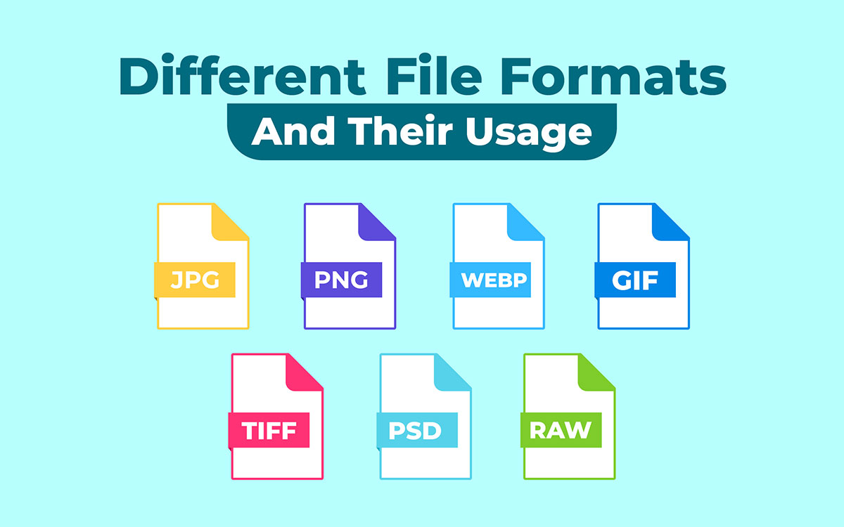 A Guide To Image File Formats Know Image File Types