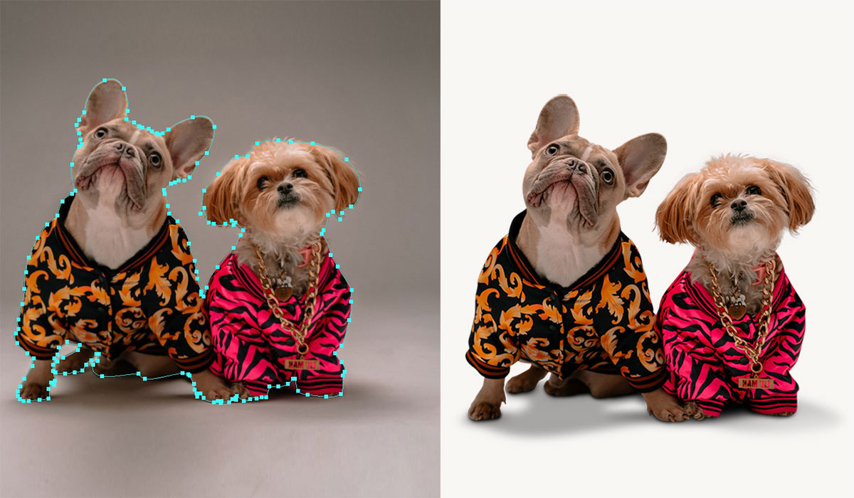 pet photo clipping path