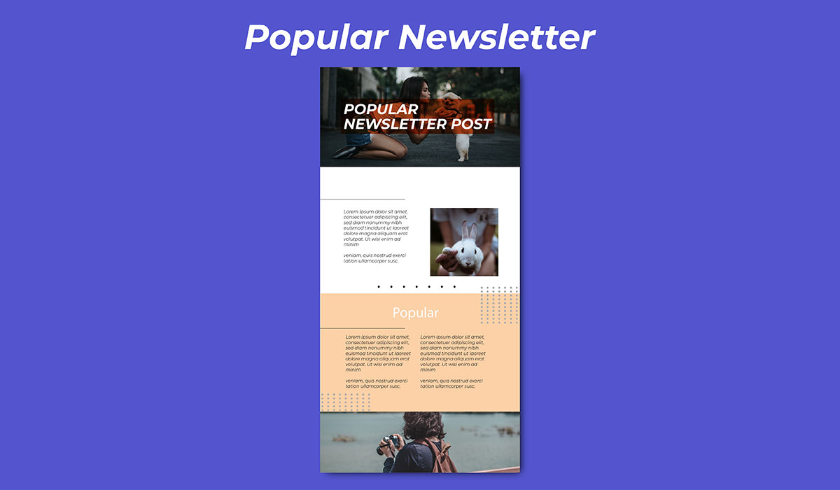 blog post newsletter design