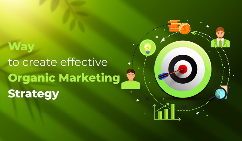 Organic Marketing Strategy | A Comprehensive Guide